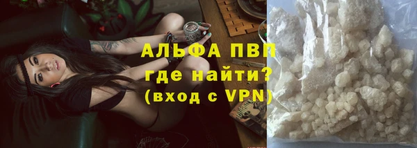стаф Дмитров
