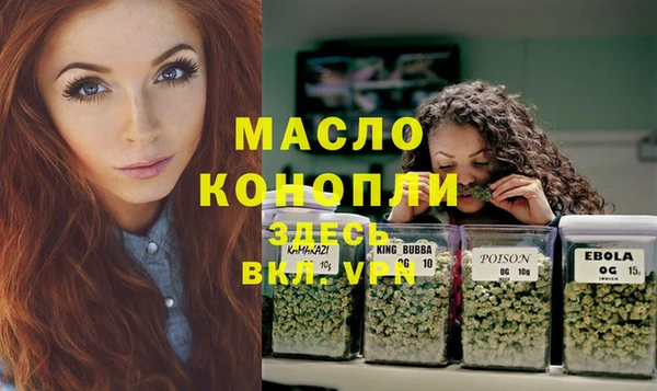 стаф Дмитров