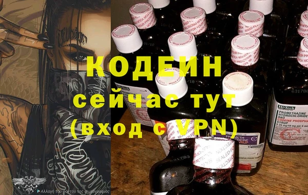 стаф Дмитров
