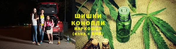 стаф Дмитров