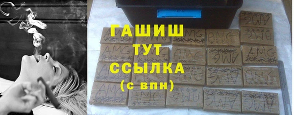 стаф Дмитров