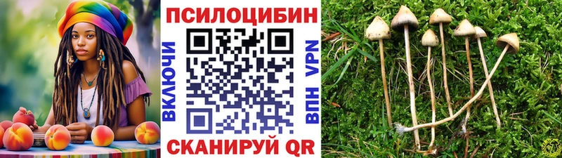 Псилоцибиновые грибы Psilocybine cubensis  Купить  Павловский Посад 